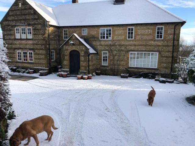 Whiteways Farmhouse Buckland Newton Ngoại thất bức ảnh